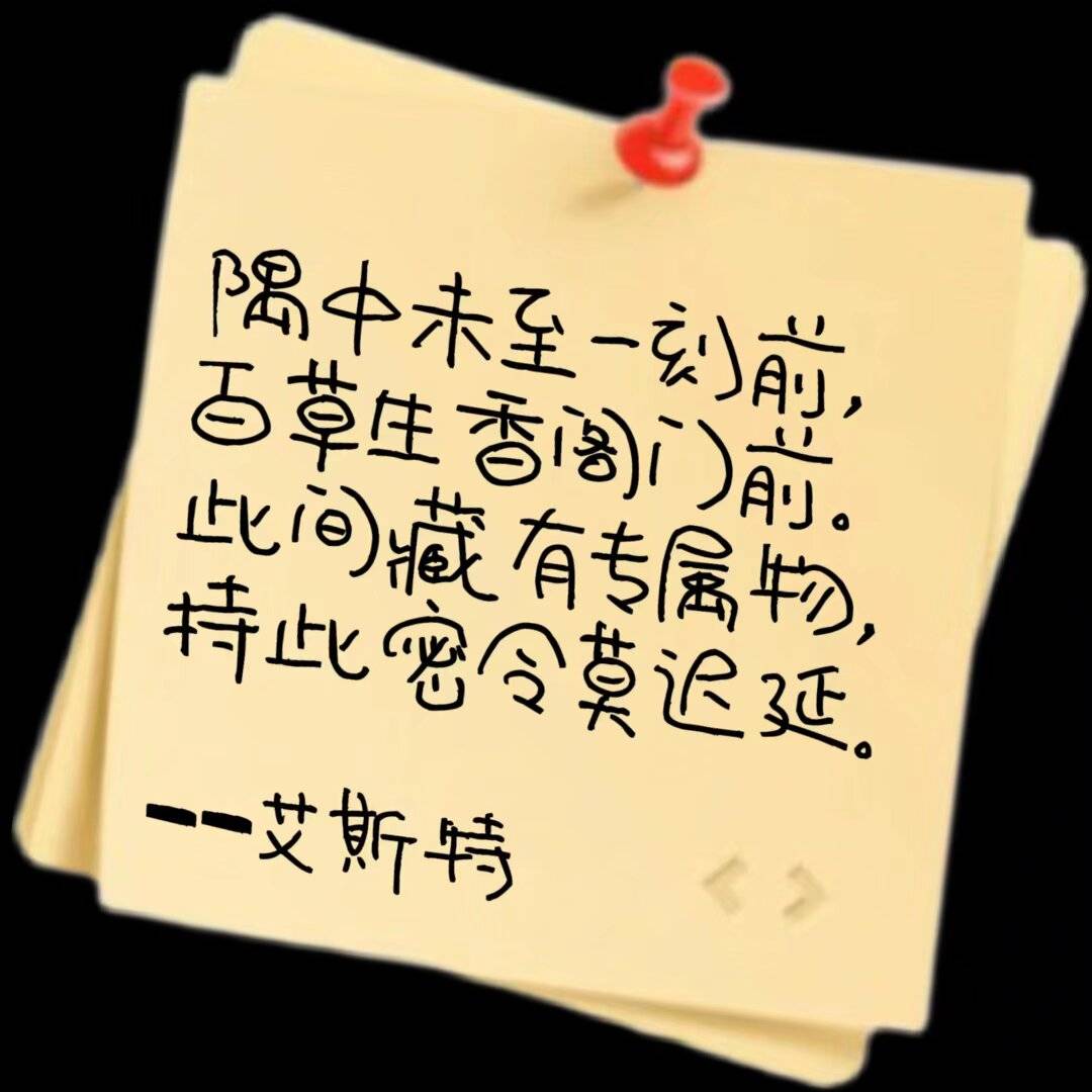 纸条6